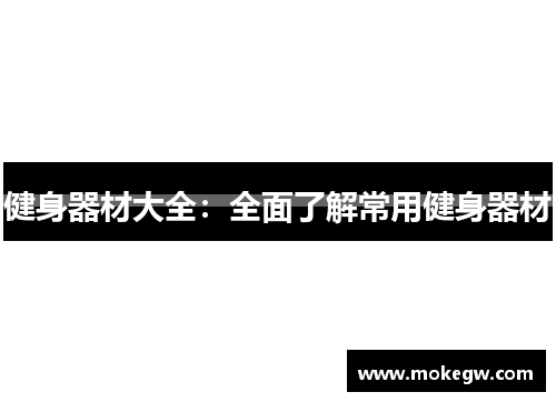 健身器材大全：全面了解常用健身器材