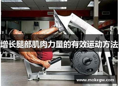 增长腿部肌肉力量的有效运动方法