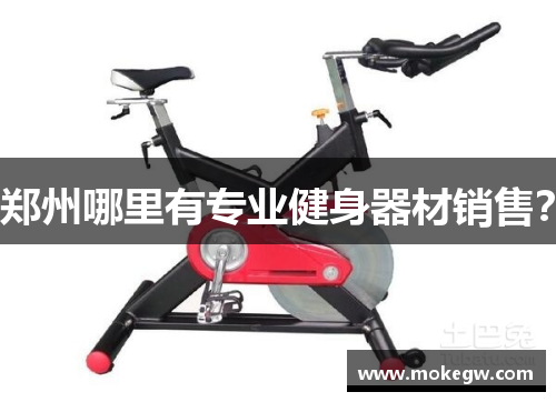 郑州哪里有专业健身器材销售？